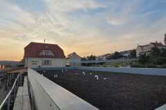 IMG-20250819-WA0000